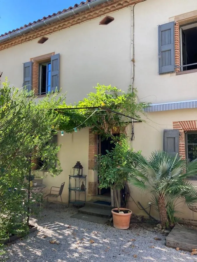 16 Bis-Gite-Hotel-Appartement Marssac-sur-Tarn Apartment